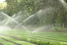 Rossvillelandscaping-water-management-and-drainage-17.jpg; ?>